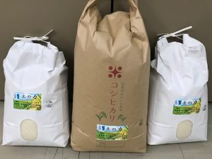 越谷産コシヒカリ「玉乃越」収穫しました。